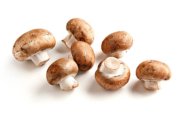 Cremini Mushrooms Isolated on White Surface  crimini mushroom stock pictures, royalty-free photos & images