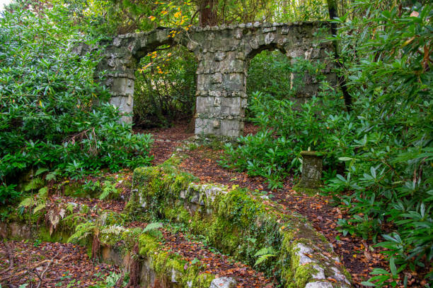istock Ruined stone walls in a forest clearing 1183227928