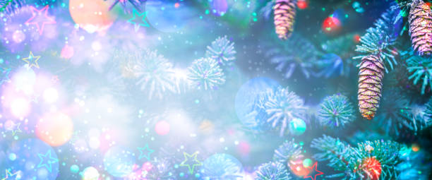 istock Soft Background Of Pine Tree With cones And Colorful Shiny Bokeh 1183228195