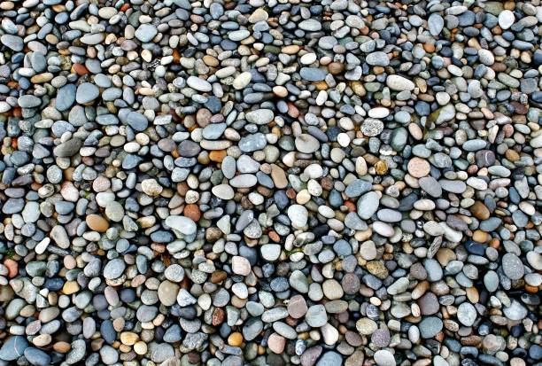 shiny wet little stones en ocean shore - number of people riverbank beach river fotografías e imágenes de stock