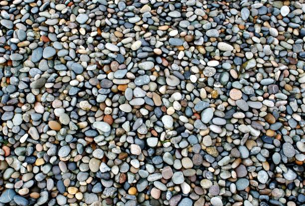 Shiny Wet Little Stones on Ocean Shore