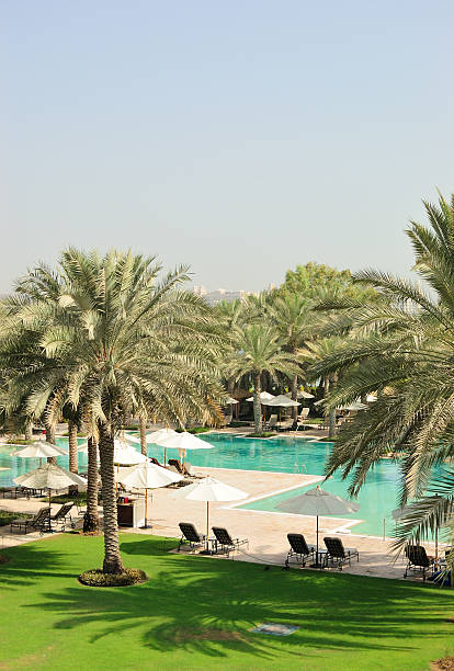 istock Swimming pool in luxurious hotel, Dubai, UAE 118323089