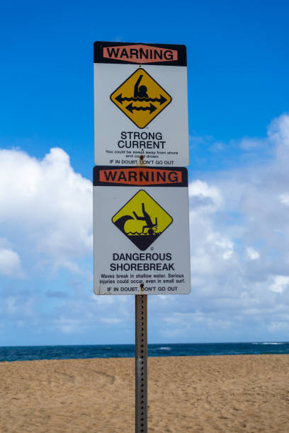 istock Warning signs on Maui beach 1183231111