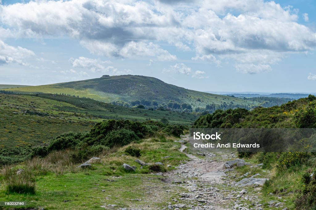 Landscape of Dartmoor national park, near Princetown, Sheepstor, Devon, UK Agricultural Field Stock Photo