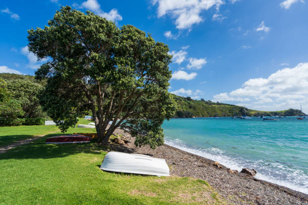 Nature scenic view at Waiheke Island, Auckland, New Zealand.