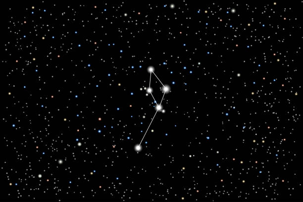 Vector illustration of the constellation  Delphinus (dolphin) on a starry black sky background. The astronomical cluster of stars in the constellation in the northern hemisphere. constellation delphinus stock illustrations