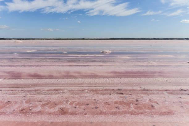 istock Salt lagoon,Dunaliella 1183239078