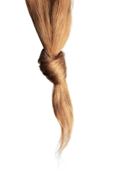 istock Brown hair knot isolated on white background. Long straight ponytail 1183241099