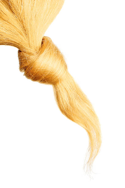 istock Blond hair knot isolated on white background. Long straight ponytail 1183241100