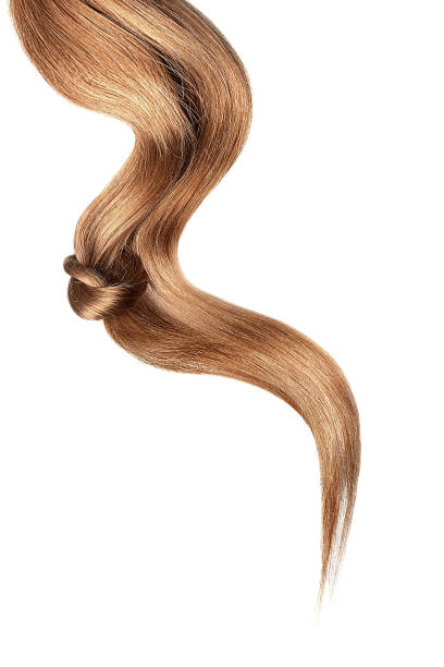 istock Brown hair knot isolated on white background. Long wavy ponytail 1183241165