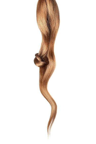 istock Brown hair knot isolated on white background. Long wavy ponytail 1183241173