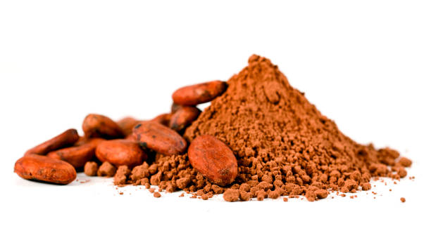 kakaobohnen und kakaopulver - bean macro brown roasted stock-fotos und bilder