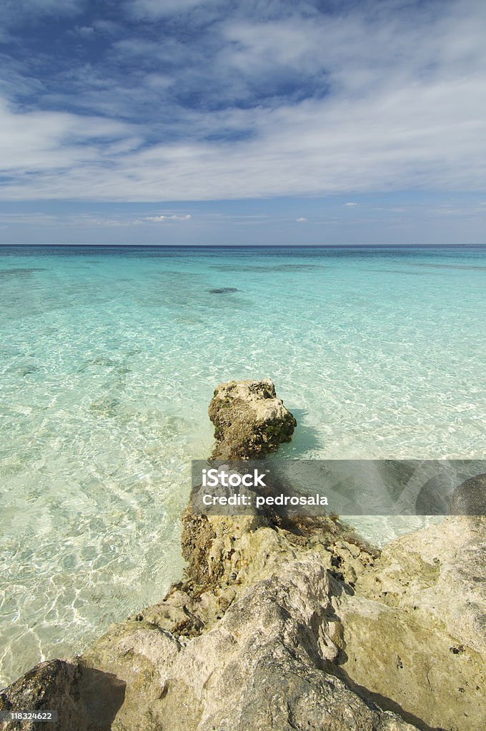 Coral Beach - Foto stock royalty-free di Corallo - Cnidario