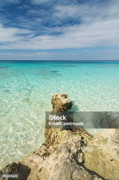 Coral Beach - Fotografie stock e altre immagini di Corallo - Cnidario - Corallo - Cnidario, Cuba, Ambientazione esterna