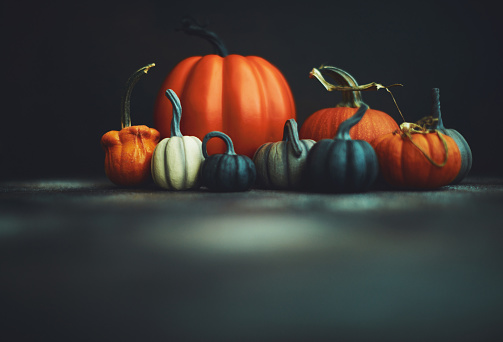 Dark Halloween background with assorted pumpkins