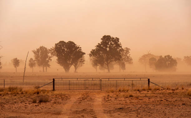 Dust storm in Western New South Wales Australia stock photo