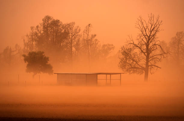 australia tormenta de polvo de sequía oeste de nueva gales del sur - barn conversion fotografías e imágenes de stock