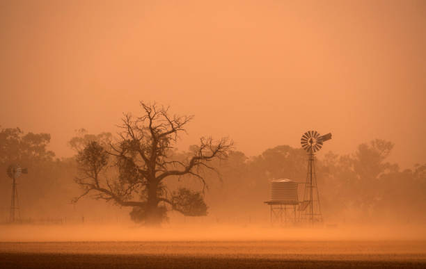 Australian drought dust storm in western New South Wales stock photo