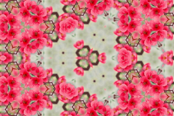 Digitally Designed Modern Style Flower Nature Inspired Mandalas from my Photographic Images