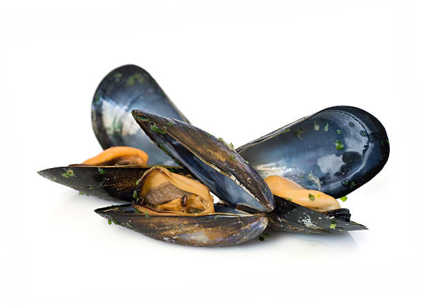 istock Isolated image of mussels in the shell 118325444
