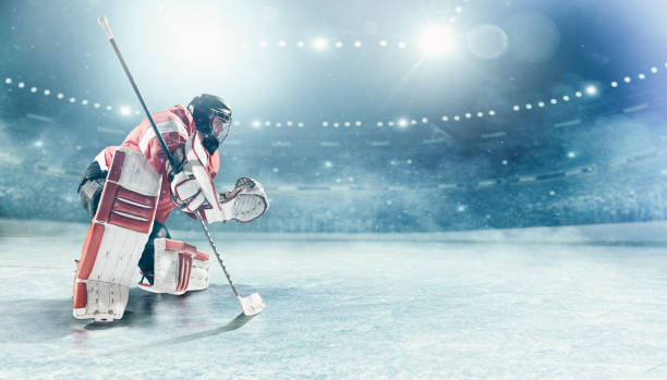 istock Ice hockey player in action 1183254493