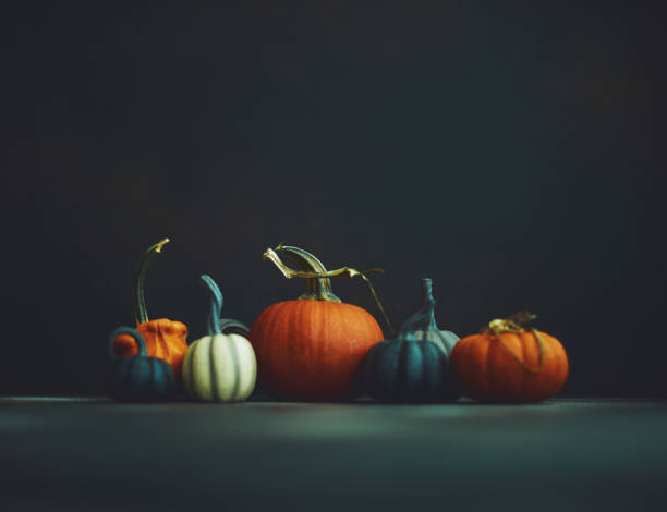 istock Thanksgiving or Halloween still life background with assorted pumpkins 1183257324