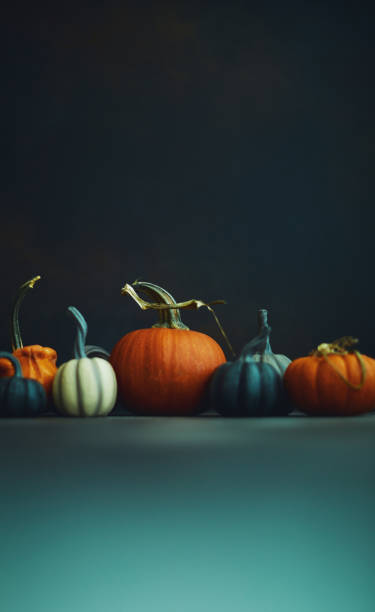 istock Thanksgiving or Halloween still life background with assorted pumpkins 1183257345