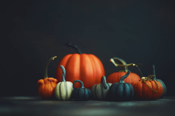 istock Thanksgiving or Halloween still life background with assorted pumpkins 1183257367