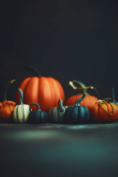 istock Thanksgiving or Halloween still life background with assorted pumpkins 1183257387