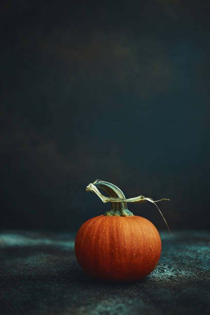 istock Thanksgiving still life background with miniature pumpkin 1183257405