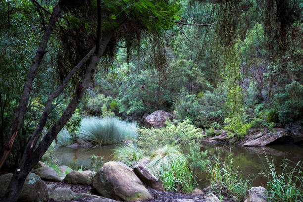 istock Blue Mountains, Jelly Bean pools 1183258242