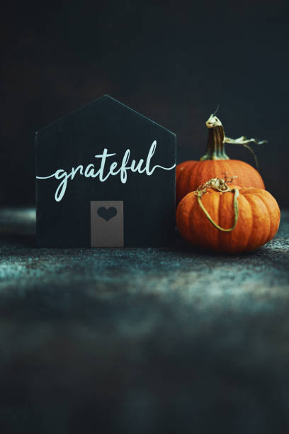 istock Thanksgiving still life with house and pumpkins 1183260391