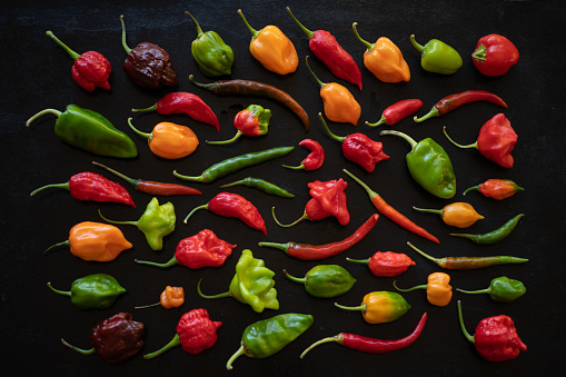 Multiple varieties, shapes and sizes of hot peppers laid out evenly on a black background with an aerial view