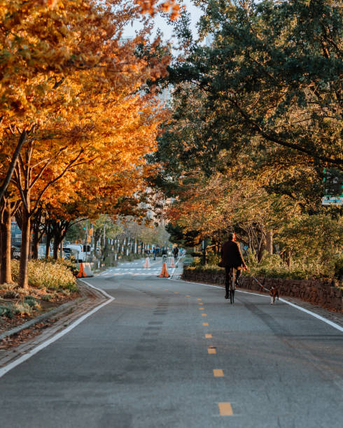 istock West Village Manhattan New York 1183269193