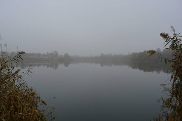 美麗的風景，秋天的自然與白色濃霧在職業湖，dnipro城市，烏克蘭。高大的樹木和大片灌木，黃葉環繞在一個乾淨美麗的湖周圍。 - ネイマール 個照片及圖片檔