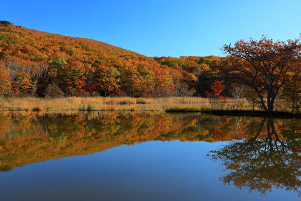 istock Hachimantai of colored leaves 1183279414
