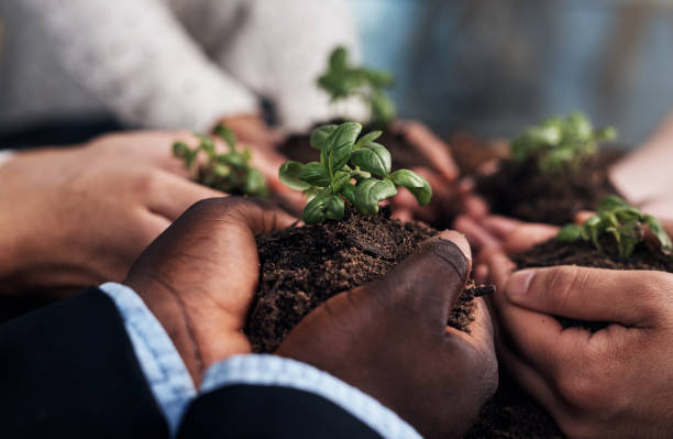 istock The best business resource is teamwork 1183282322