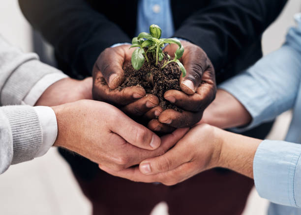 istock Building a business from the ground up 1183282384