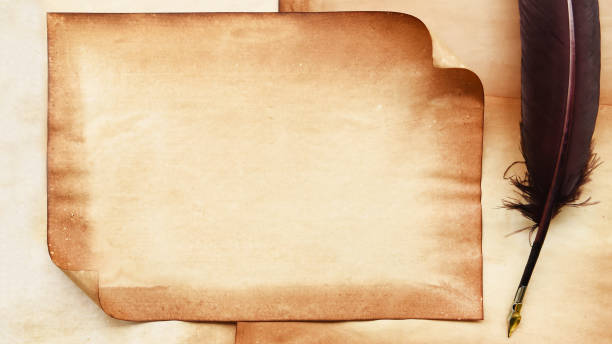 istock old paper on brown wood texture and feather 1183282566
