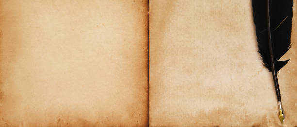 istock old paper on brown wood texture and feather 1183282573