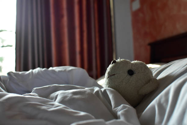 istock Teddy Bear lying on the bed and wrap with white blanket 1183285447