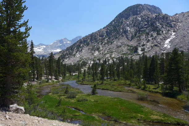 istock Vidette Meadow, Kings Canyon National Park 1183290826