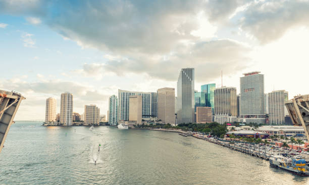 istock Miami buildings and skyline at dusk 1183292026