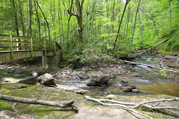 istock The bridge and Hills Creek 1183295157
