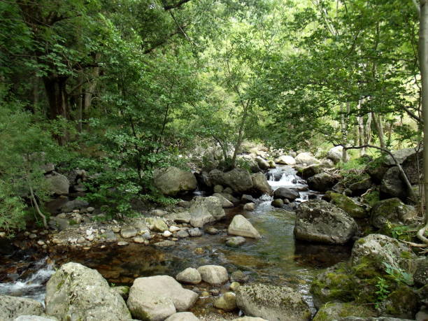 istock Rocky river in the French alps 1183295278