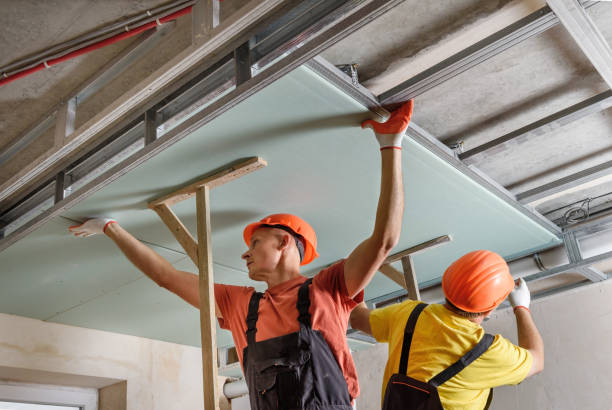 istock Installation of ceiling drywall. 1183295318