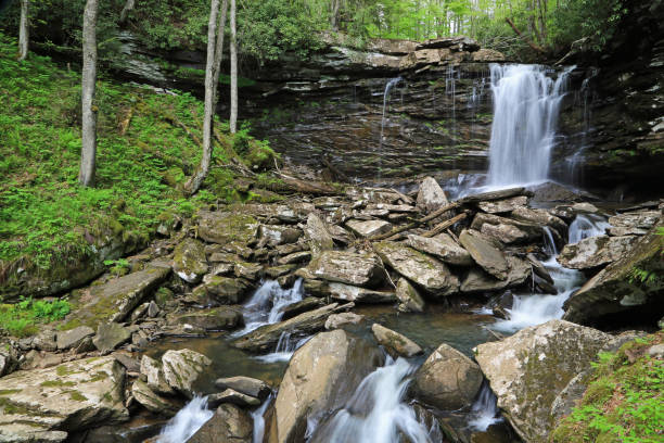 istock Hills Creek and waterfalls 1183295382