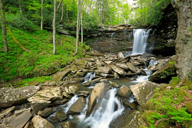 istock Landscape with Middle Falls of Hills Creek 1183295387