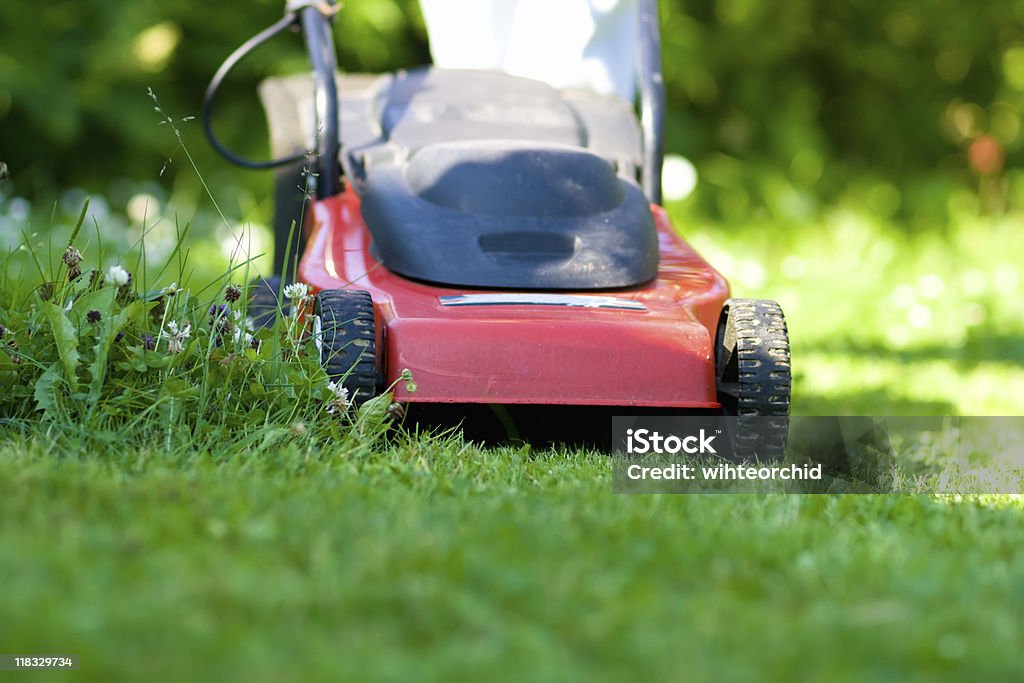 Cortador de grama - Foto de stock de Cortador de grama - Equipamento de jardinagem royalty-free