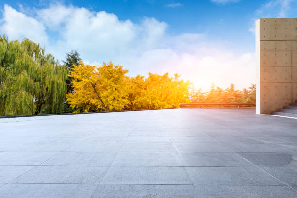 istock Empty floor and yellow ginkgo tree in nature park 1183301722